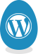 WordPress custom theme and development